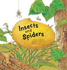 Do Gam Insects and Spiders (Paperback) Science Storybooks