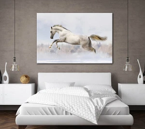 BEAUTIFUL WHITE STALLION HORSE LARGE CANVAS WALL ART PICTURE STUNNING NEW PRINT - Picture 1 of 2