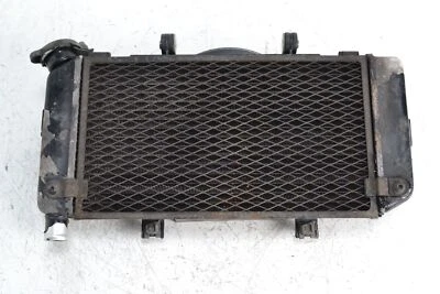 Radiador YAMAHA TDM 900 2002-2012 - Imagen 1 de 4