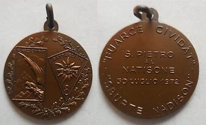 medaglia sezione alpini Svezia Norvegia Finlandia Danimarca 1982 - Picture 1 of 1