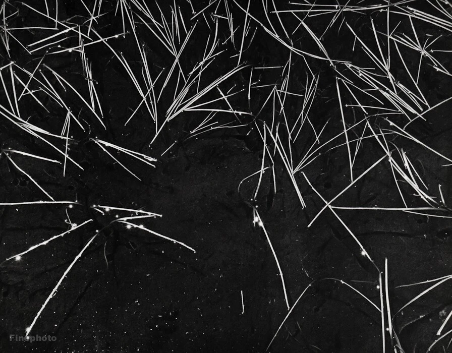 1935/63 复古 ANSEL ADAMS 抽象草池塘内华达山脉照片艺术 12x16 — 第 1/1 张图片