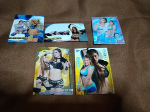 Maya Yukihi/Maya Yukihi Bbm Women'S Pro Wrestling Card Set Of 20 Types