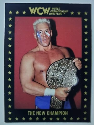 1991 Championship Marketing WCW (2) #22 STING - Image 1 of 2