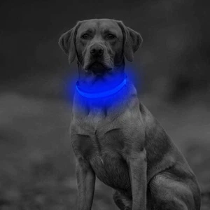 Clan-x LED Dog Collar, USB Rechargeable Light Up Collars, Adjustable L - Picture 1 of 5