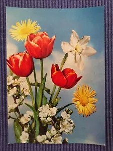 Old Postcard Tulip Flower Branch Emmerich Art Card Leipzig - Picture 1 of 2