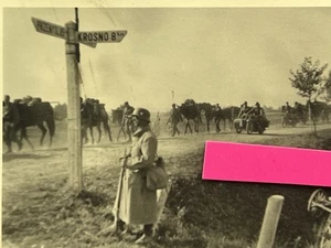 2wk Wegweiser bei Krosno Przemyśl Polen Fotoalbum Podkarpacie Poland - Picture 1 of 2
