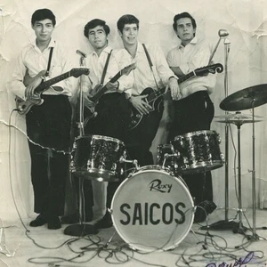 LOS SAICOS-Demolicion 7" (60's Garage) MINT - Imagen 1 de 1