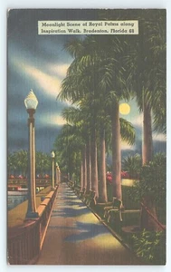 Postcard Moonlight Scene at Royal Palms Inspiration Walk Bradenton Florida c1946 - Picture 1 of 2