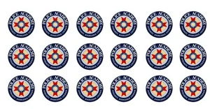 1:24 1:25 G scale model Police Academy car door badge decals - Picture 1 of 1