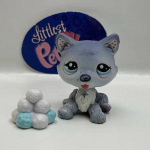 HUSKY DOG #1617 W/ Accessory - Authentic Littlest Pet Shop - Hasbro LPS - Picture 1 of 4