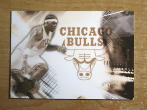 EDDY CURRY 2004-05 SPx THROWBACK Variation #/500 Card #10 Bulls - Bild 1 von 2