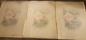 Set of 3 Antique Book Picturesque California 1888 Etchings & Photo-gravure VHTF - Picture 1 of 9