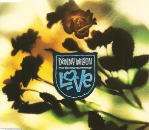 Danny Wilson (2) - The Second Summer Of Love - Bild 1 von 1