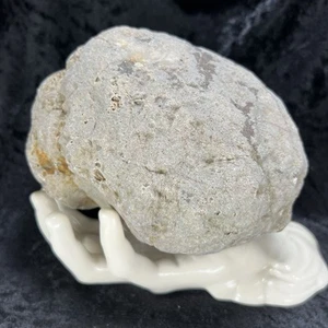 Large Geode 5-3/4" Uncut Chalcedony Crystal Quartz Whole Unopened 4Lb NonRattler - Picture 1 of 8