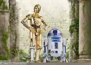 S.H.Figuarts C-3PO & R2-D2 set Classic Ver. (STAR WARS: A New Hope) from Japan - Picture 1 of 14