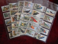 Foreign Birds Ogden's Cigarette cards 1924 X50 Complete Set Sleeved VGC
