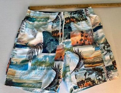 Croft & Barrow Mens Swim Trunk Size: L Shorts. Free Shipping - Image 1 of 4