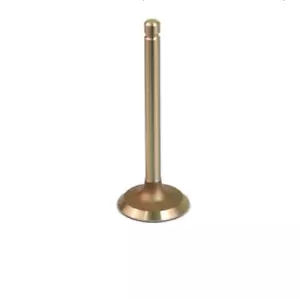 E-Z-GO 295cc / 350cc Golf Cart Exhaust Valve | Fits 1991 - 2002 | OEM 72508-G01 - Picture 1 of 1