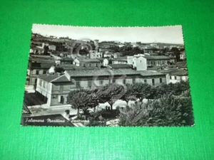 Cartolina Falconara Marittima - Panorama 1955 - Picture 1 of 1