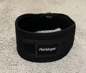 Harbinger Foam Core Belt Weight Lifting and Workout Belt - Picture 1 of 3
