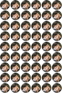 48 x Custom Any Image/Photo Edible Round Cocktail Drink Cupcake Toppers Image - Picture 1 of 1