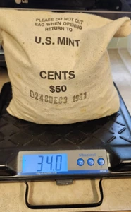 Mint Sewn Bag - 1981-D Lincoln Cents - $50 FV - Picture 1 of 3