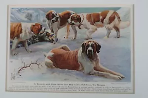 Ilustración de revista Edward Miner de 1940 impresión enmarañada perros de rescate de San Bernardo - Imagen 1 de 9