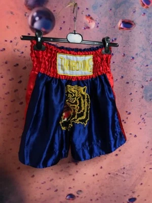 Pantalones cortos de boxeo tailandés vintage Foto 1 de 4
