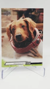 Maria Bakalova As Cosmo - 2024 Upper Deck Marvel Studios Series 1 #91 - Picture 1 of 2