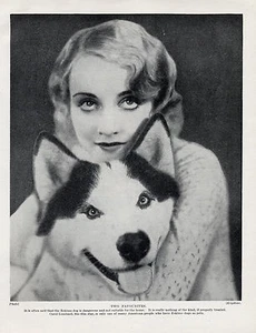ESKIMO SLED DOG ALASKAN MALAMUTE WITH FILM STAR CAROL LOMBARD OLD 1934 PRINT - Picture 1 of 1