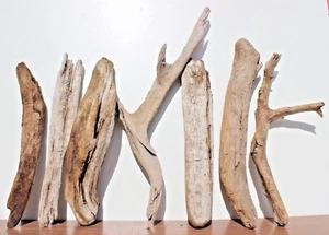 Treibholz Schwemmholz  7  Hölzer Dekoration  Basteln  Terrarium  E88 - Bild 1 von 5