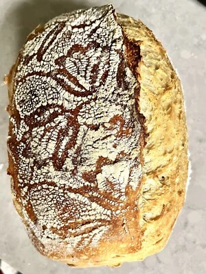 Dry Sourdough Starter 1/2 Oz (14 Grams). Our Own Organic Starter. Active 20+year - Image 1 of 4