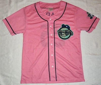 NUEVA Camiseta de Béisbol Asheville Tourists Rosa 2025 SGA Promo Niños Jóvenes Grande L Foto 1 de 4