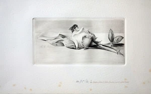 ORIGINALE RADIERUNG RICHARD MÜLLER DRESDEN ROSE MIT HUMMEL SIGNIERT DATIERT 1915 - Bild 1 von 7