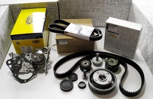 RIEMENSCHEIBE PHASENMÄHER & VERTEILERKIT & WASSERPUMPE & RIEMEN RENAULT 1.6 16V - Bild 1 von 6