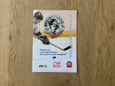 Basingstoke Bison v Guildford Flames - 2001/02 Findus British Nat Lge - 9/2/2002
