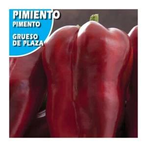 Thick Red Bell Pepper (1000 Seeds) - Picture 1 of 1