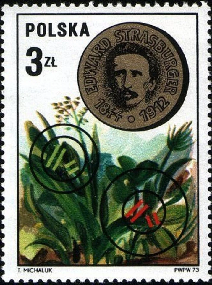 POLAND - 1973 - Polish Scientist - Edward Adolf Strasburger 1844-1912 - Sc.#2008 - Image 1 of 1