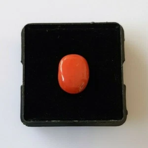 Cabochon corallo giapponese 2 carati, corallo rosso ovale naturale 100%, gemma mare sciolto. - Foto 1 di 6