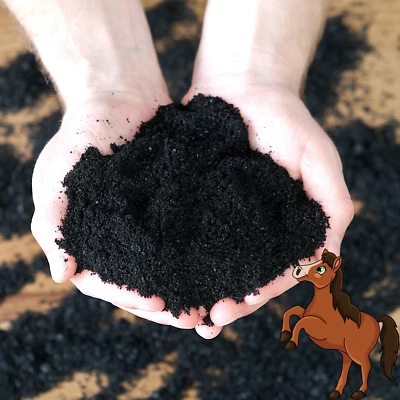 reine Futterkohle für Pferde - Bild 1 von 4