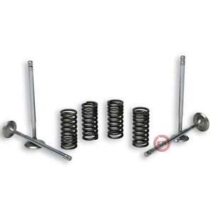 KIT 4 VALVOLE + MOLLE MALOSSI 2714047 X TESTA VESPA GTS SUPER 300 IE 4T LC 2013 - Imagen 1 de 4