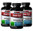 Chlorella Spirulina Powder - Stem Cell Activator 500mg - Boost Health Caps 3B 