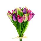 Artificial silk Tulips Cream Pink Purple Green Mix x 15 stems 24cm