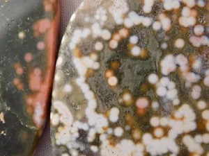 SET OF 2 OCEAN JASPER MEDALLION SLAB SLICE LAPIDARY CAB 6325 - Picture 1 of 9