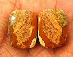 Coppia di diaspro quadro naturale 13,65 ct gemme sfuse cabochon filo avvolgente pietra - 28537 - Foto 1 di 2