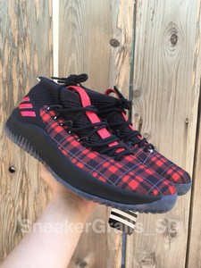 dame 4 multicolor