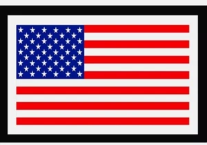Pro Stock amerikanische Flagge Helm Aufkleber Sticker für Football Hockey Baseball - Bild 1 von 3