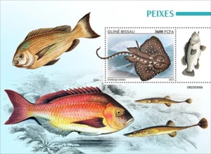 Fishes MNH Stamps 2023 Guinea-Bissau S/S - Picture 1 of 1
