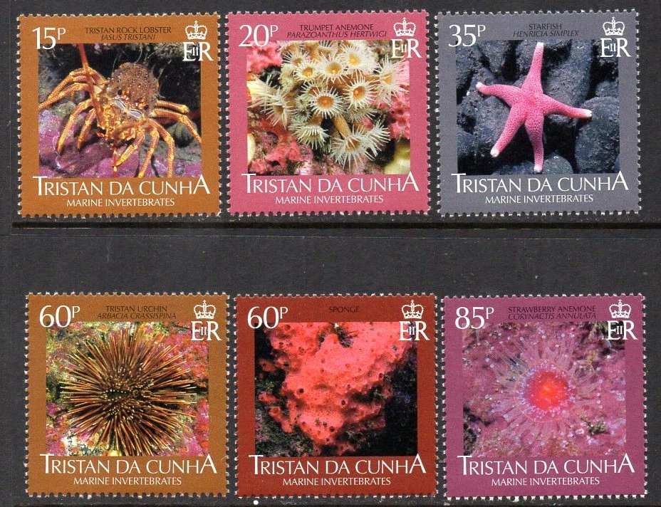 Juego de 6 Invertebrados Marinos Tristan da Cunha 2008, MNH, SG 895/900 Foto 1 de 1