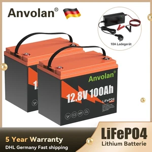 2X Batería LiFePO4 100Ah 12V Batería BMS Sistema Solar RV Automóvil Hogar + Cargador - Imagen 1 de 17